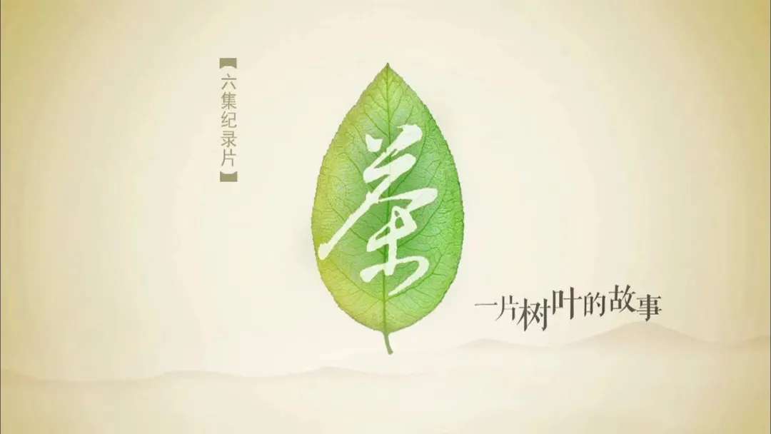 杀青啦!拍摄花絮独家曝光,直击那些镜头后你不知道的故事
